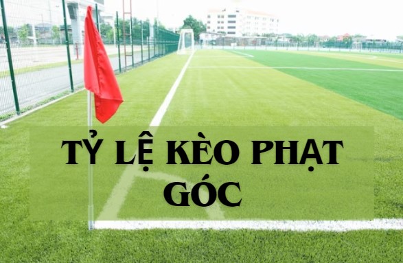 Tỷ lệ kèo phạt góc: Những lưu ý khi đặt cược 1 Tỷ lệ kèo phạt góc: Những lưu ý khi đặt cược